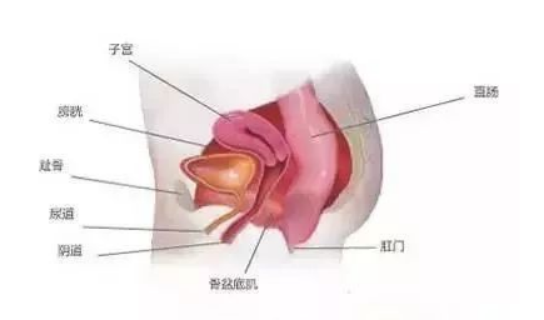 产后私密修复到底有没有用？